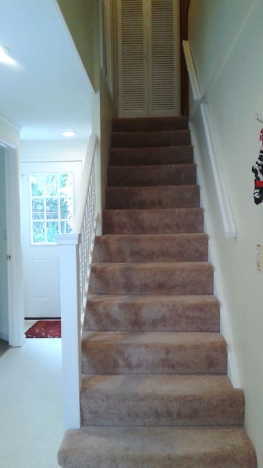 Stairs to The Loft, bathroom door on left prior to private door to back garden.