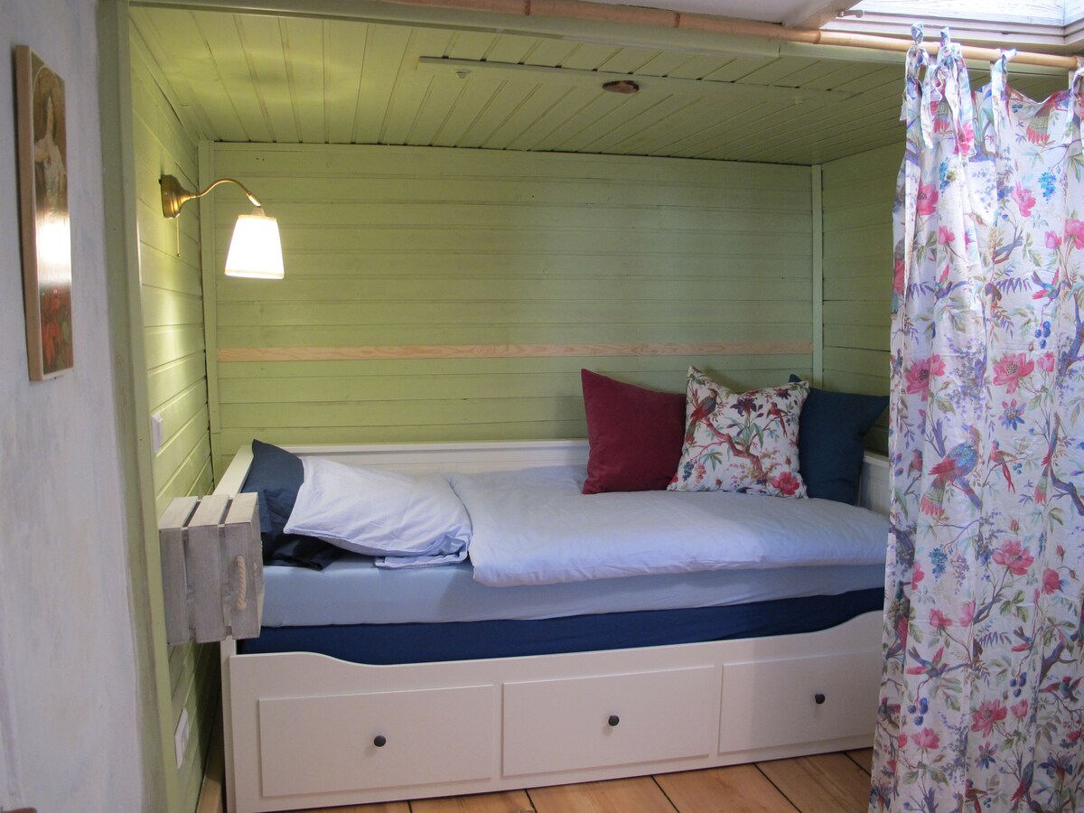 带单人床/双人床的小卧室