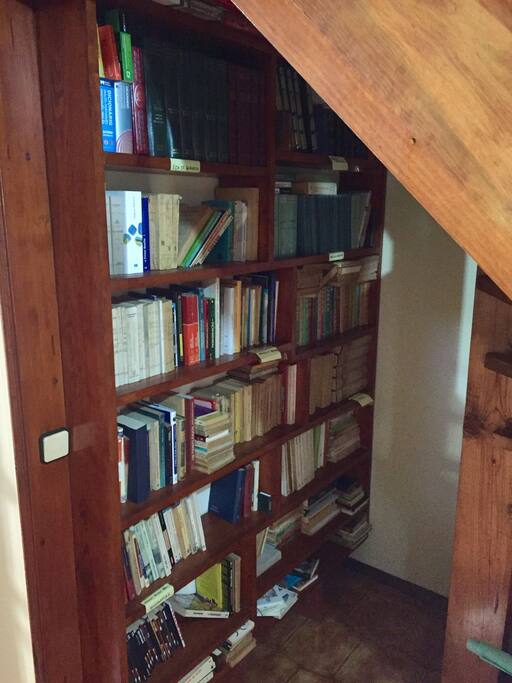 O apartamento possui uma vasta coleção de livros que podem ser consultados pelos hóspedes.