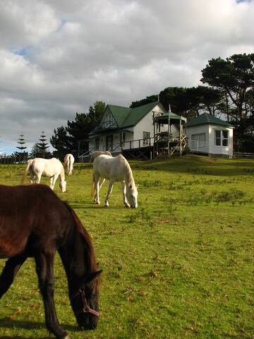 Hill House @ Hawley House gallery image 3