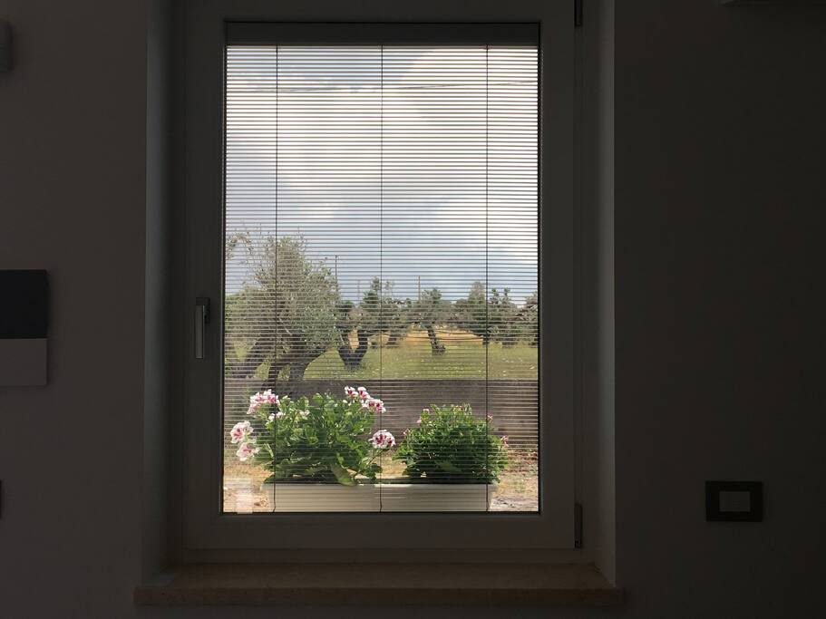 Tutti i vetri hanno veneziane oscuranti interno vetro.