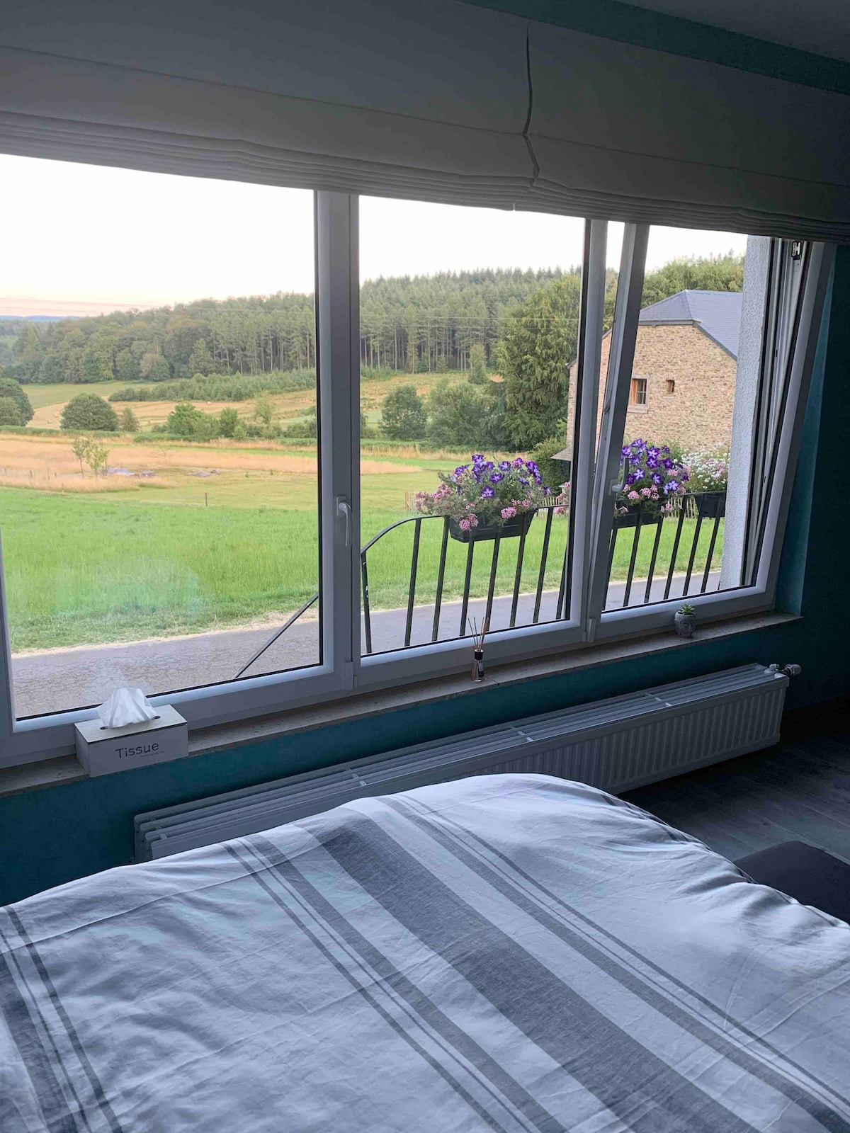 A spacious bed is positioned in front of large windows, offering a view of rolling green fields and distant trees. Flower pots add a touch of color to the window sill. The natural light fills the room, enhancing its tranquil ambiance.