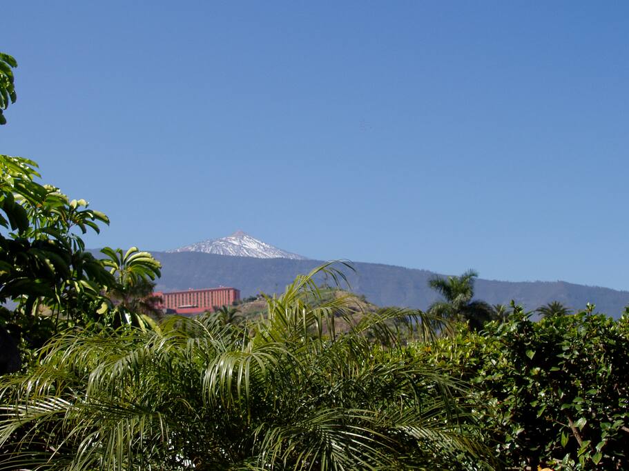 Vista al Teide desde jardín