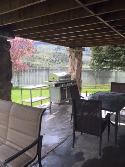 Outside seating and dining, gas grill