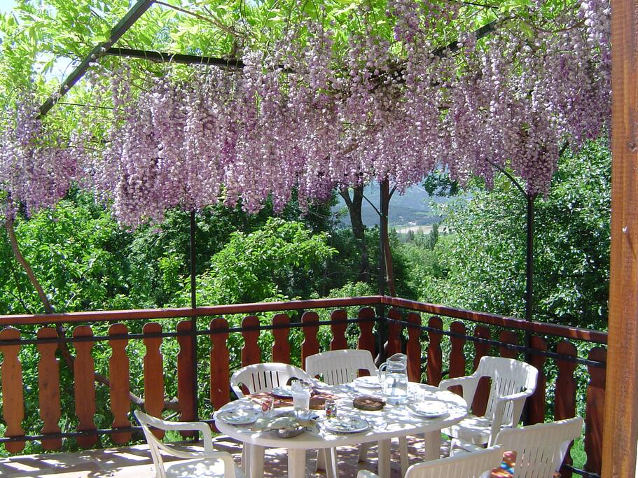 Terrasse plein sud