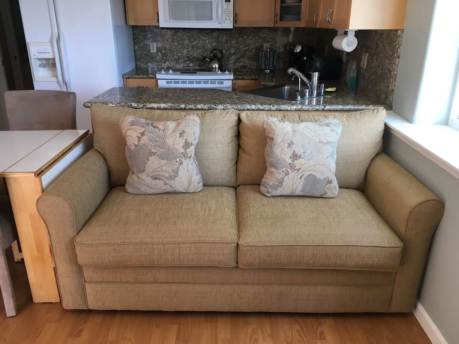 Brand new up graded sofa bed