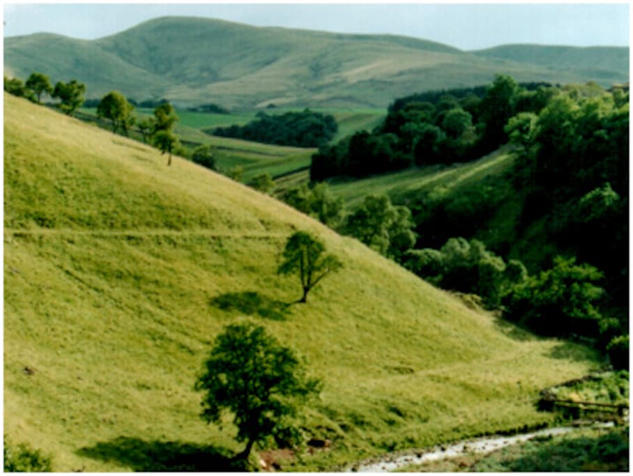 Smardale Nature Reserve