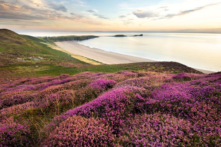 1 Gower coastal cottage  Rhossili