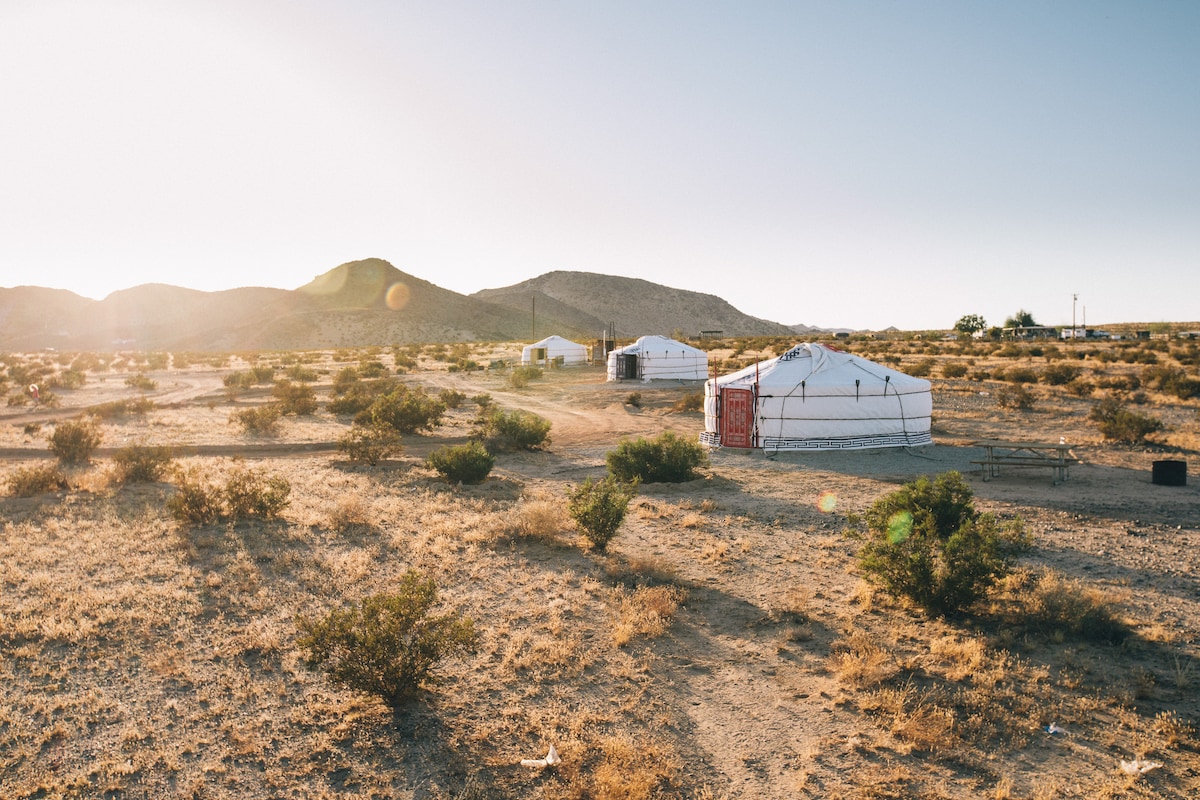Multiple yurts are set against a backdrop of rolling desert hills under a bright blue sky. The landscape features sparse vegetation and sandy terrain, emphasizing the remote tranquility of the location. Sunlight casts soft shadows, creating a calm and inviting atmosphere.