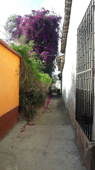 Entrada a la casa