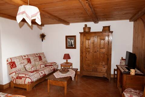 Annonce Airbnb populaire: apartment in mountain chalet facing Mont Blanc à Combloux