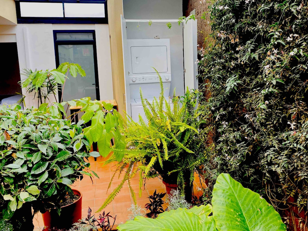 A lush garden area is featured, populated with a variety of greenery in pots, including ferns and tropical plants. A white washer and dryer are visible just behind the foliage, framed by walls that create a serene outdoor space.