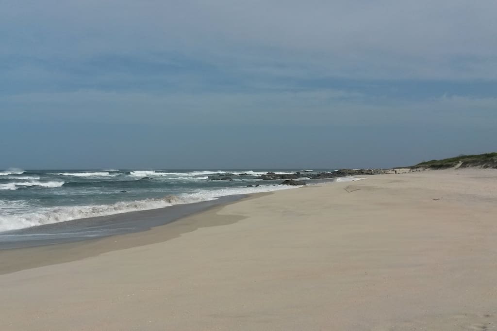 PLAGE SAUVAGE