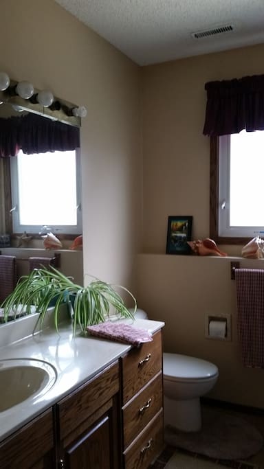 Large 4 piece bathroom. Shower head has a filter to remove chlorine from the water.