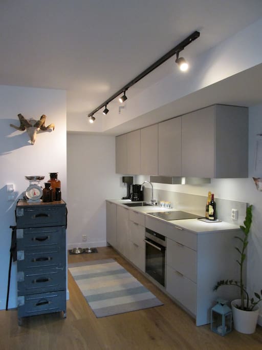Fully equipped, modern kitchen.