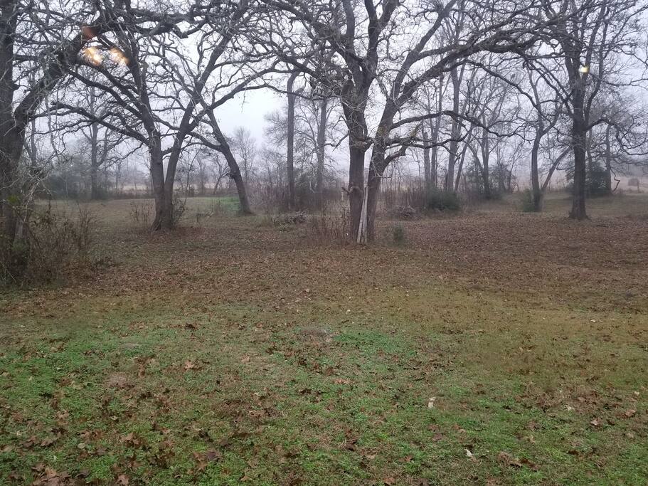 View from living room