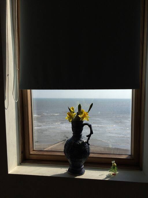 The view!