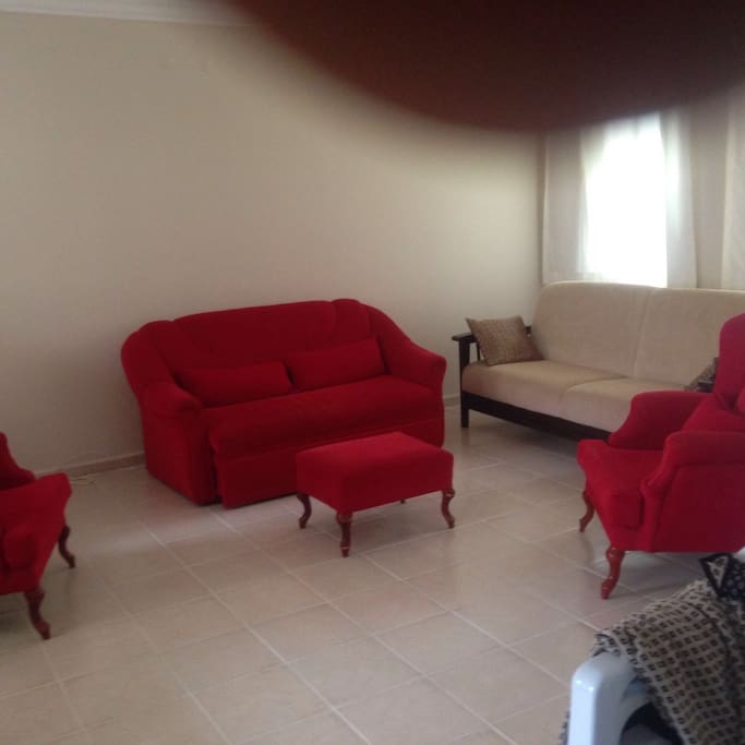 Living room has 2 sleeper sofas.