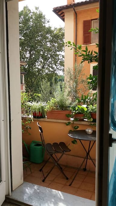 Your balcony (September 2018)