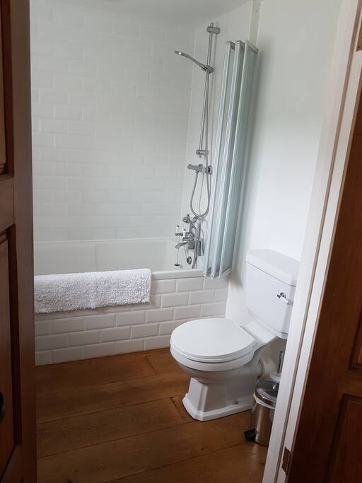 Ensuite bathroom to the main bedroom
