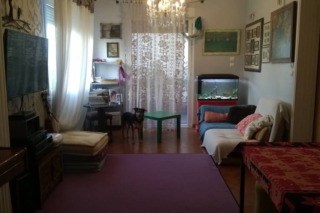 living room - common area