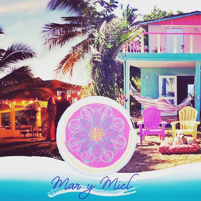 This photo shows you the bright day colors along with the night party view. We love to welcome families and groups of bohemian, adventurous free spirit friends. We love guest that come here to get inspiration in a relaxed environment. Our beach house is rustic and full of character surrounded by nature, we call it Mar y Miel "Sea and Honey" we chose this name because the property receives the salty ocean breeze while being adorned with colors that remind you that life is sweet.