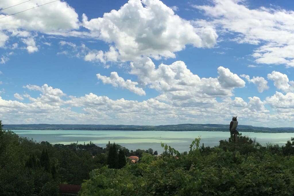 Kilátás a teraszról / View from the teracce