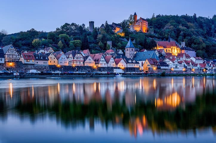 W3 Neckarblick, nature, old town in front of Heidelberg
