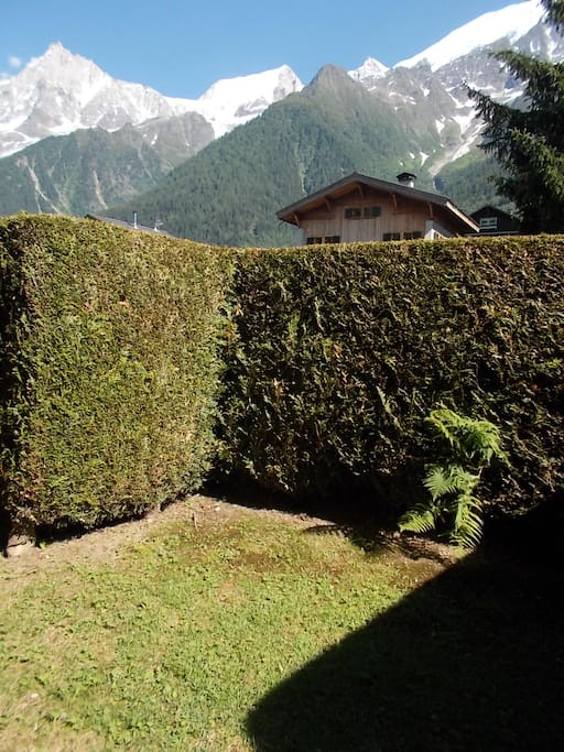 jardin et vue massif Mont-Blanc
