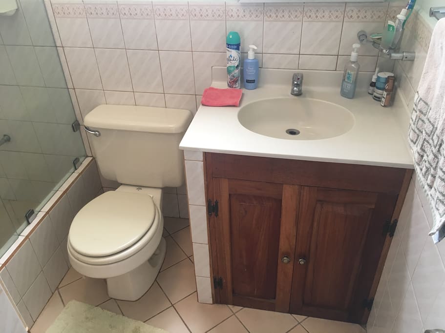 Bathroom (toilet/sink)