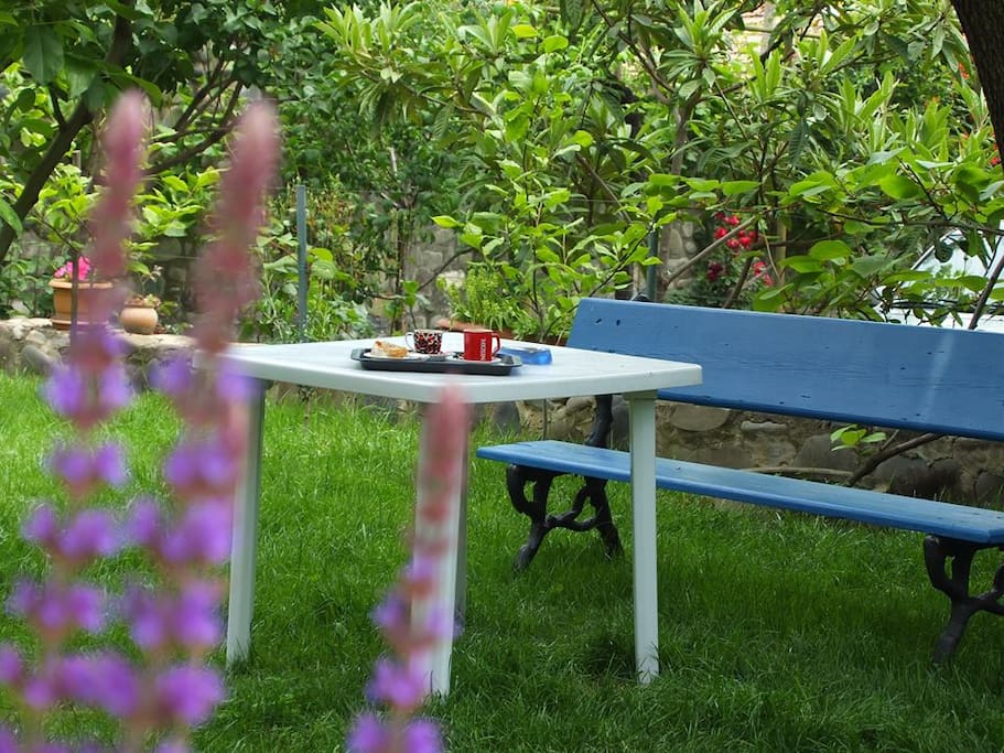 Garden Sitting Area