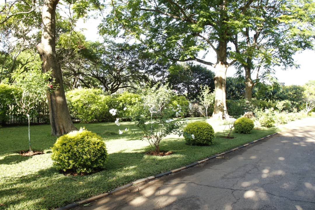 A landscaped garden area features well-maintained greenery, including rounded bushes and flowering plants. Tall trees provide shade, contributing to a tranquil outdoor environment. A paved pathway guides visitors through the space, highlighting the natural beauty of the surroundings.