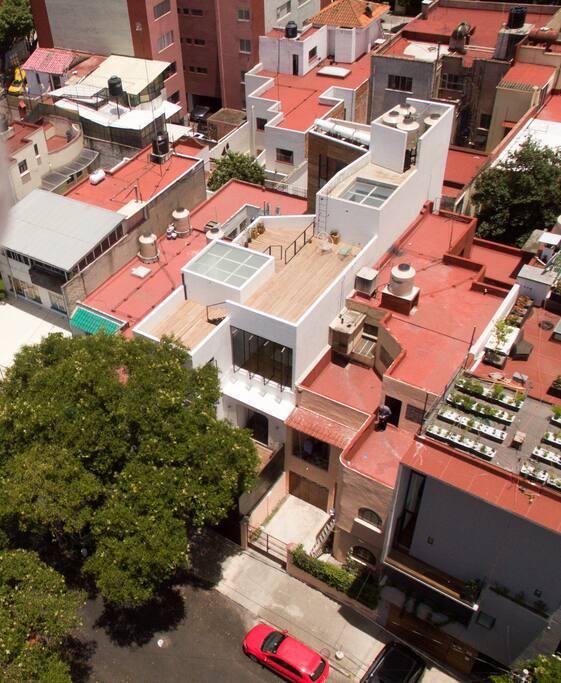 Vista de la terraza / Roof Garden.
Fotos @_JaimeNavarro