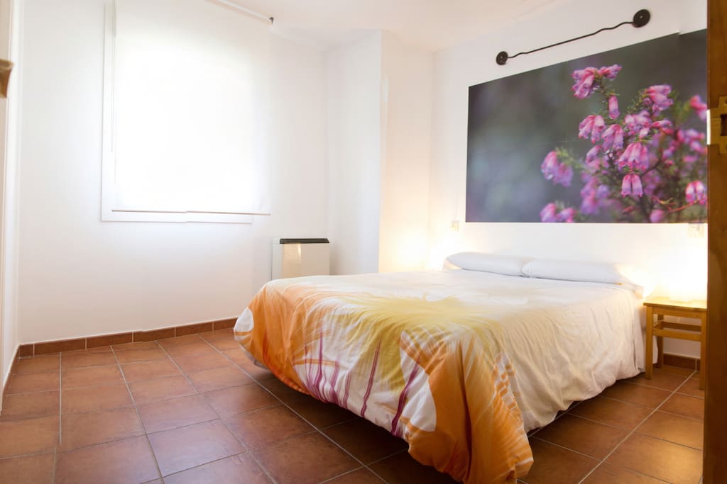 Habitación 1