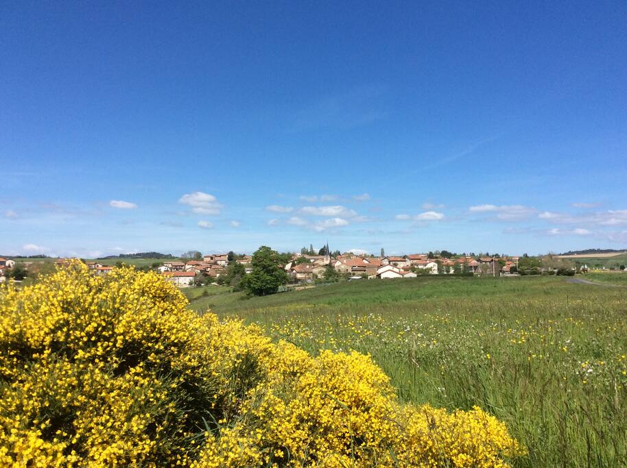 Vue du village dans son écrin de genêts