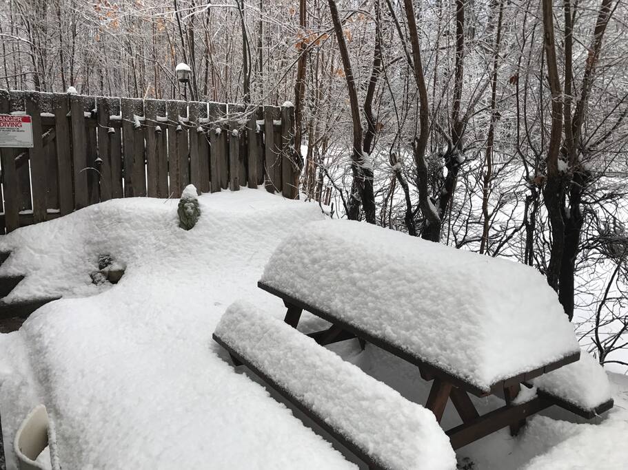 Winter