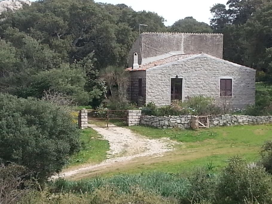 Dalla strada