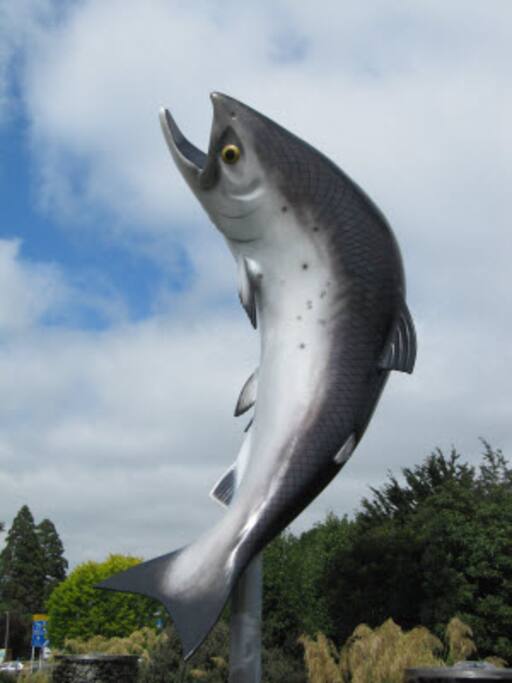 Rakaia is the Salmon Fishing capital of New Zealand