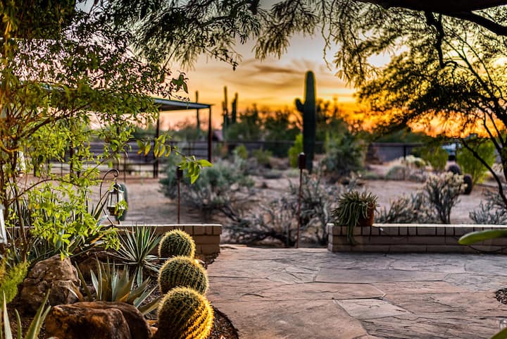 Beautiful Sonoran Desert Home Dog Friendly Rv-trailer Parking Close To Westworld - Cave Creek, AZ