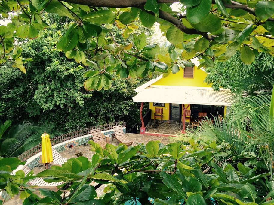 Surrounded by nature.