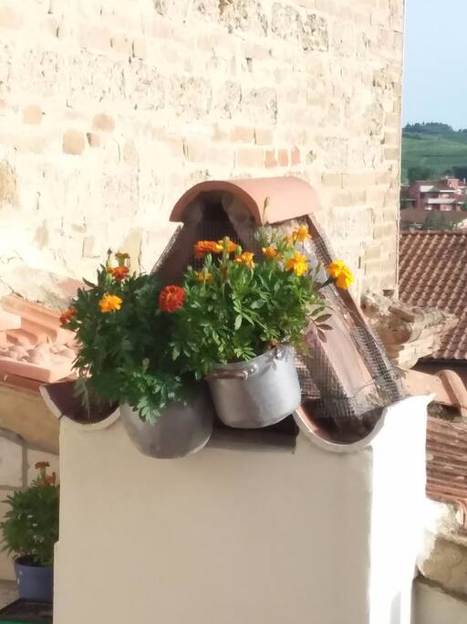 Terrazza