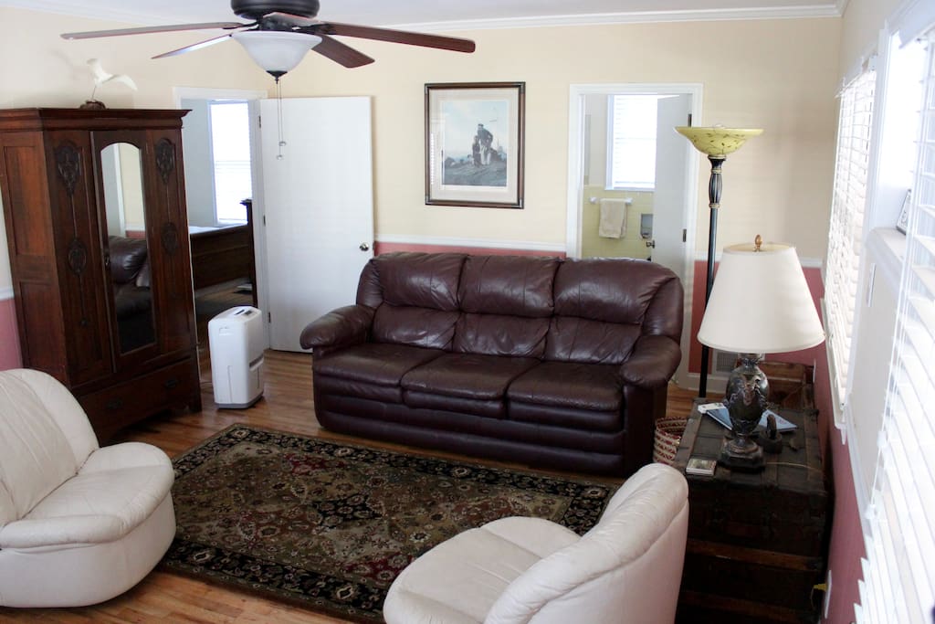 Back room, with pull-out couch