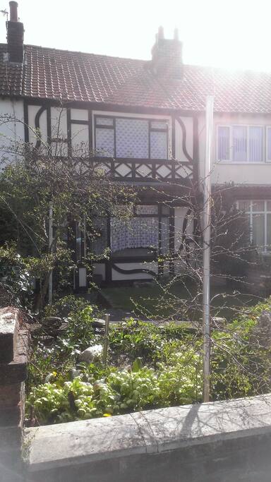 Raised Bed with View to Property