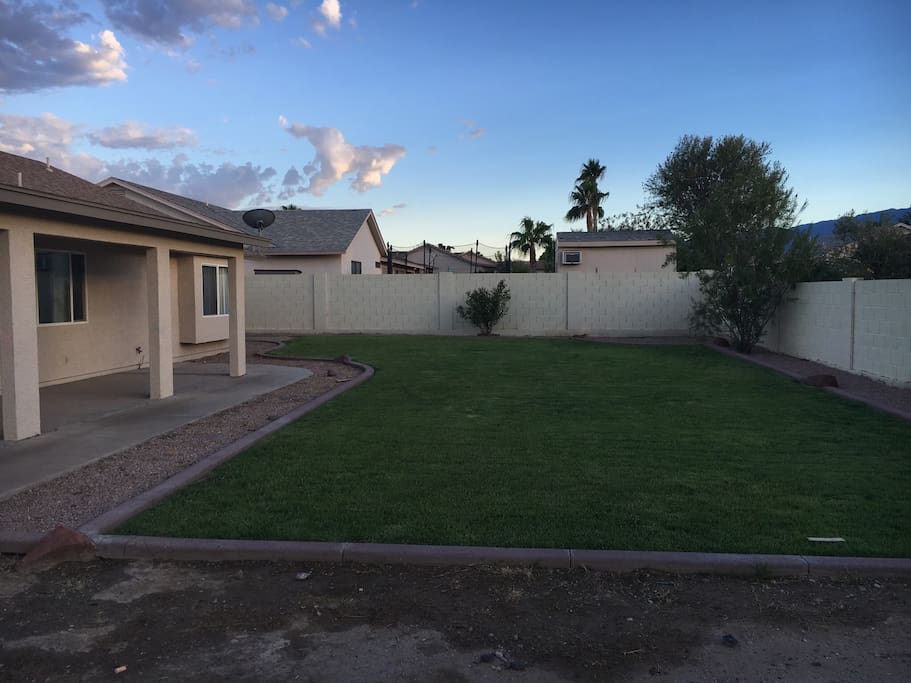 Back yard