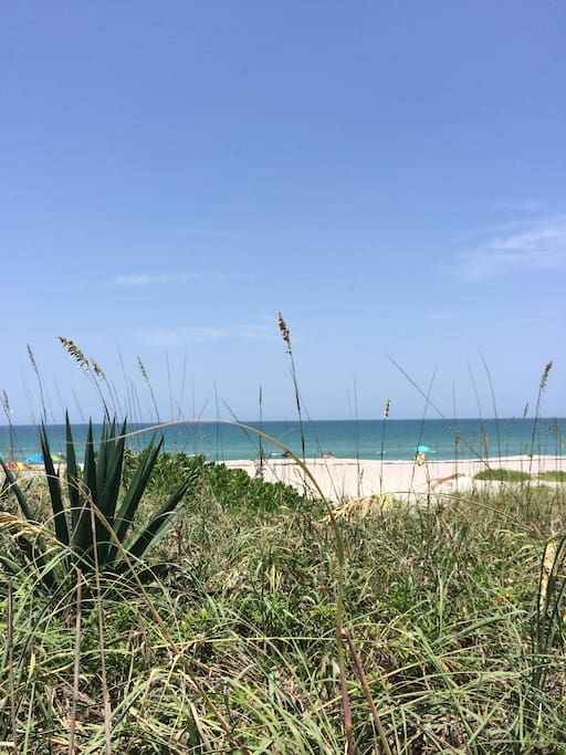 Half mile walk to the beach!