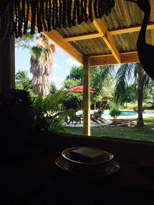 View from the kitchen window...sort of a tropical feel...but it's East Texas Country.
