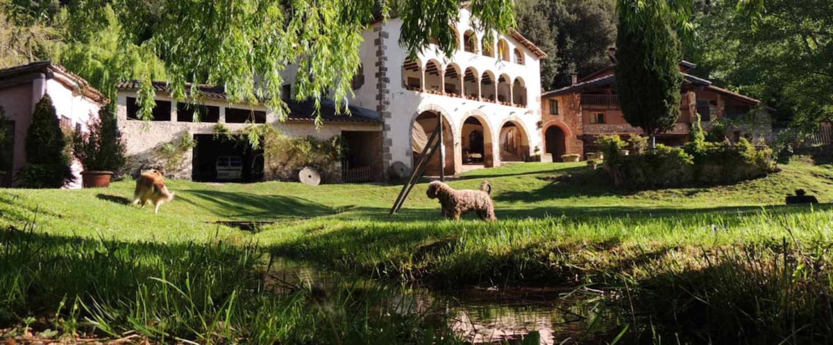 A charming countryside building features arched windows and a rustic facade, surrounded by lush green lawns and trees. A dog is seen exploring the grassy area near a gently flowing creek, enhancing the natural environment.