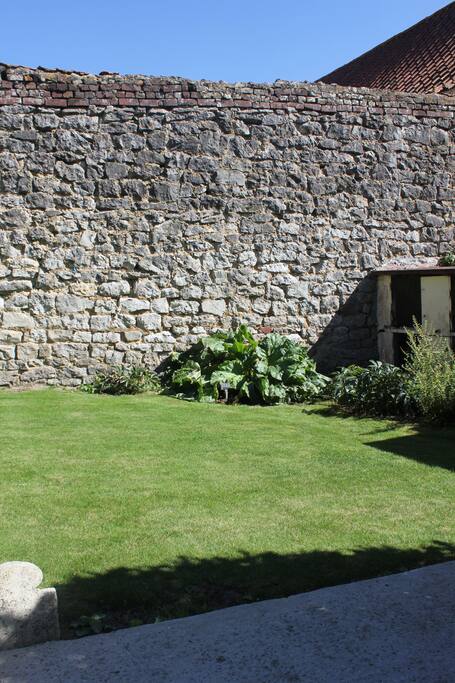 jardin