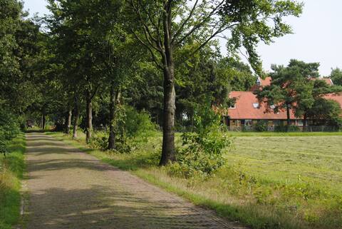 Lovely farmhouse in Drents Friese Woud
