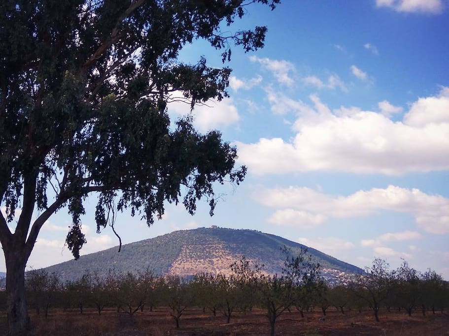Mount Tabor